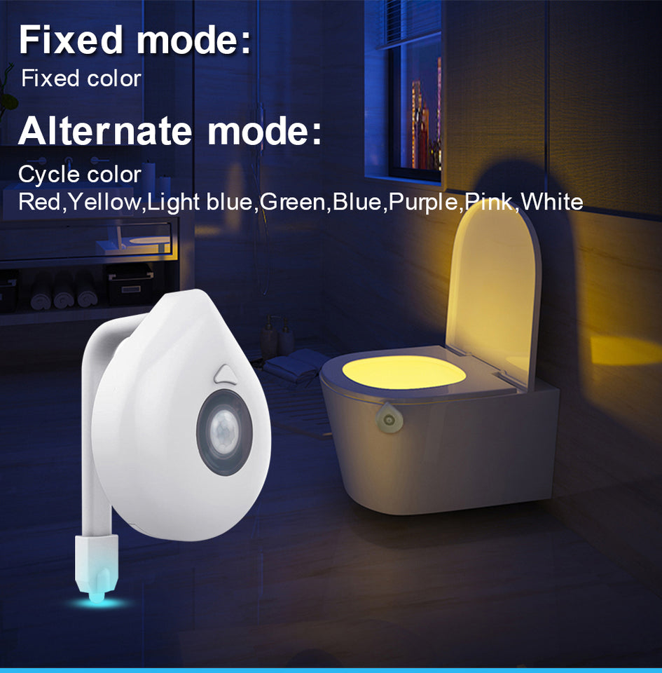 LED Toilet Night Light