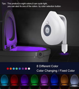 LED Toilet Night Light