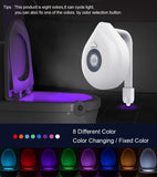 LED Toilet Night Light