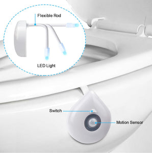 LED Toilet Night Light