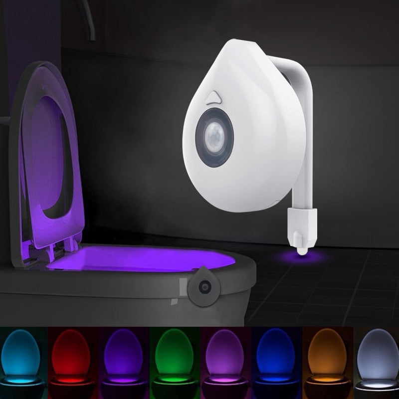 LED Toilet Night Light