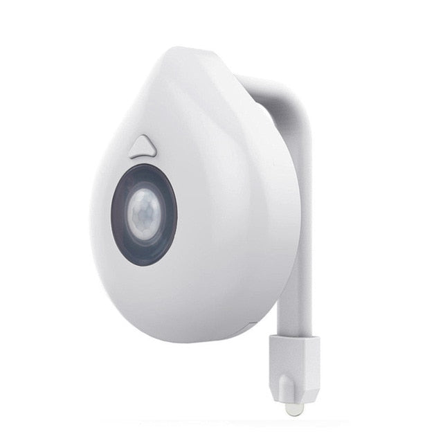 LED Toilet Night Light